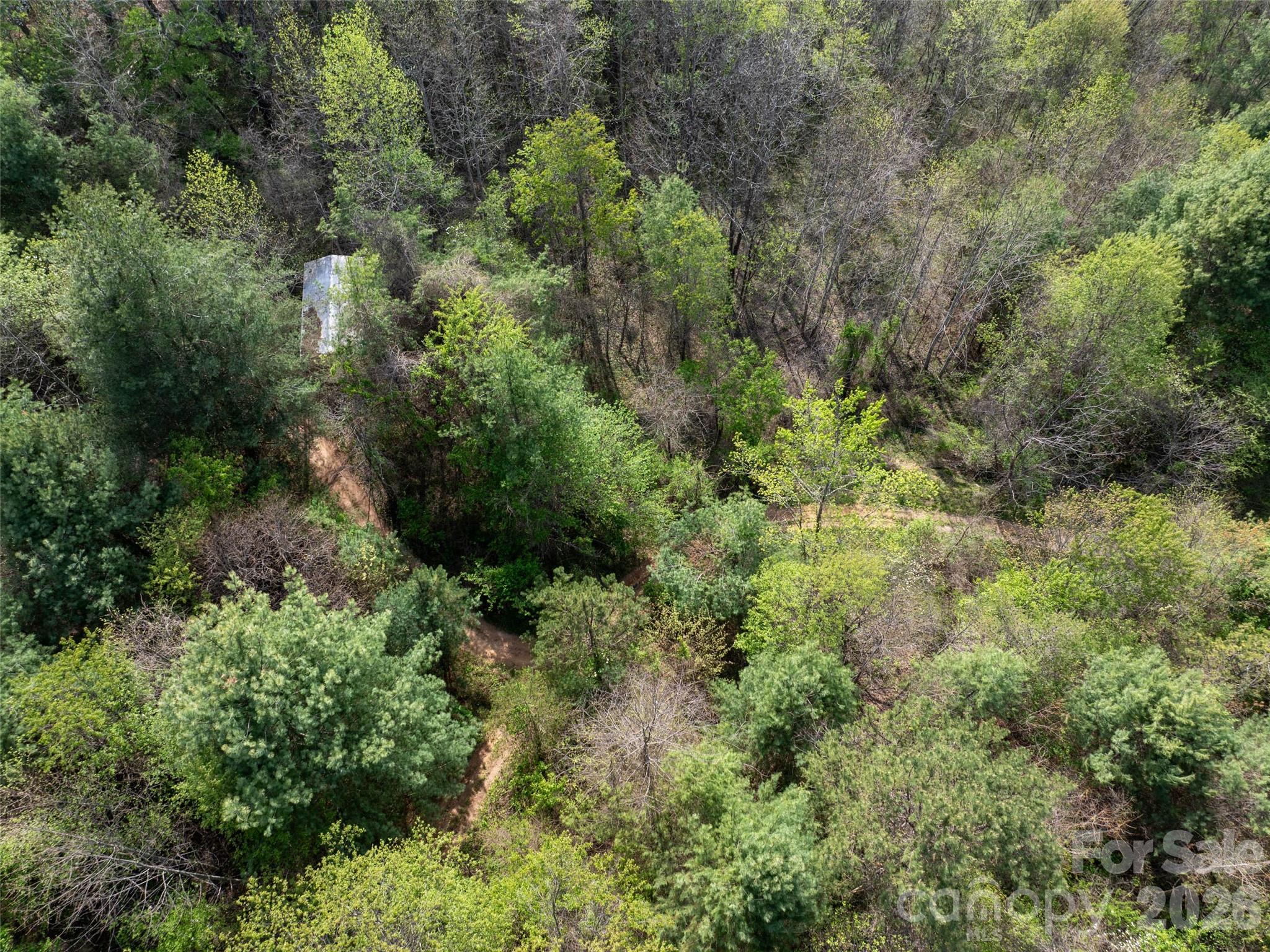 Lot 38 Sunnybrook Trail Clyde, NC 28721 - Photo 5 of 11 an aerial view of residential house with outdoor space and trees all around