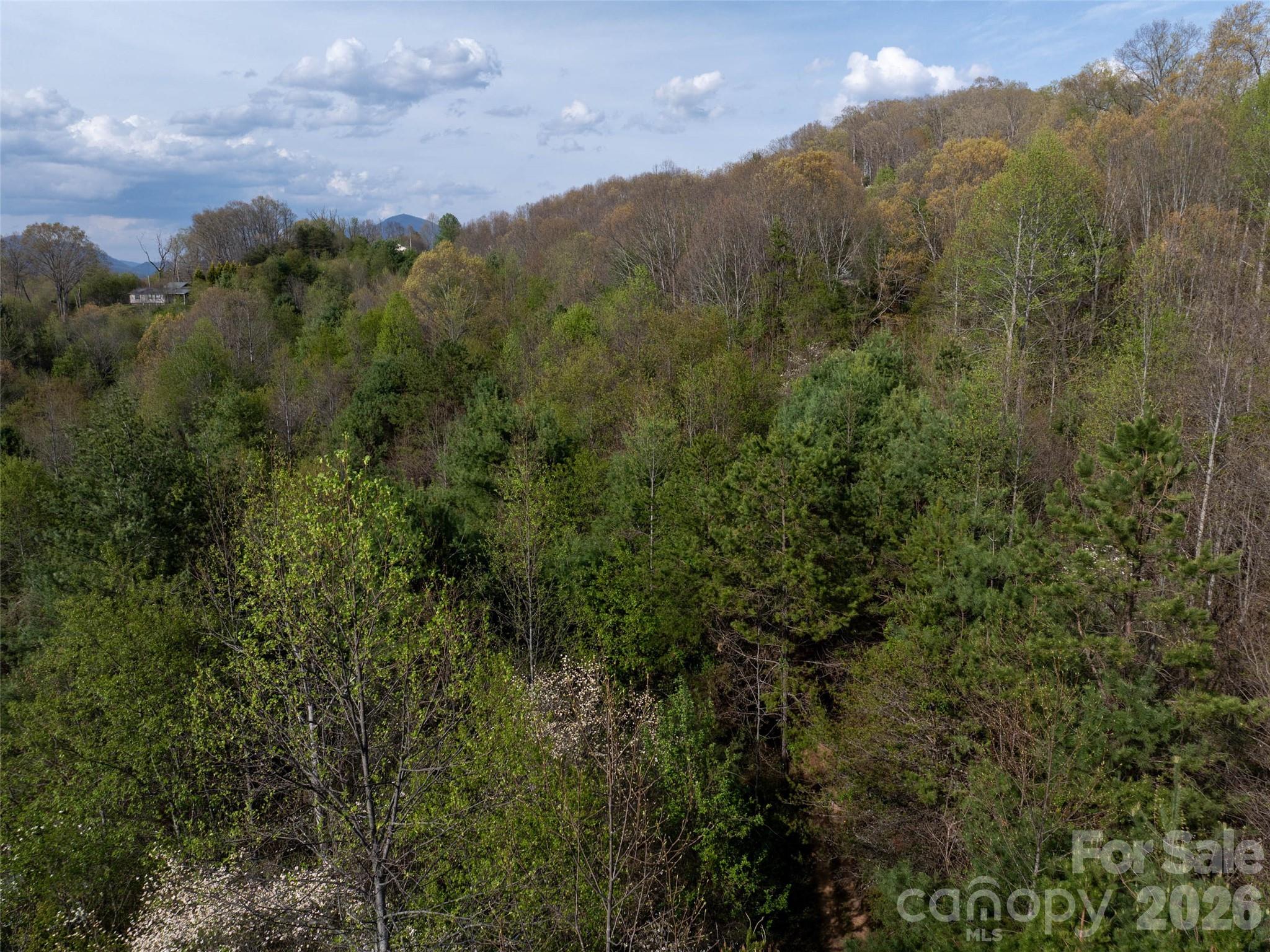Lot 38 Sunnybrook Trail Clyde, NC 28721 - Photo 9 of 11 a view of a city with lush green forest