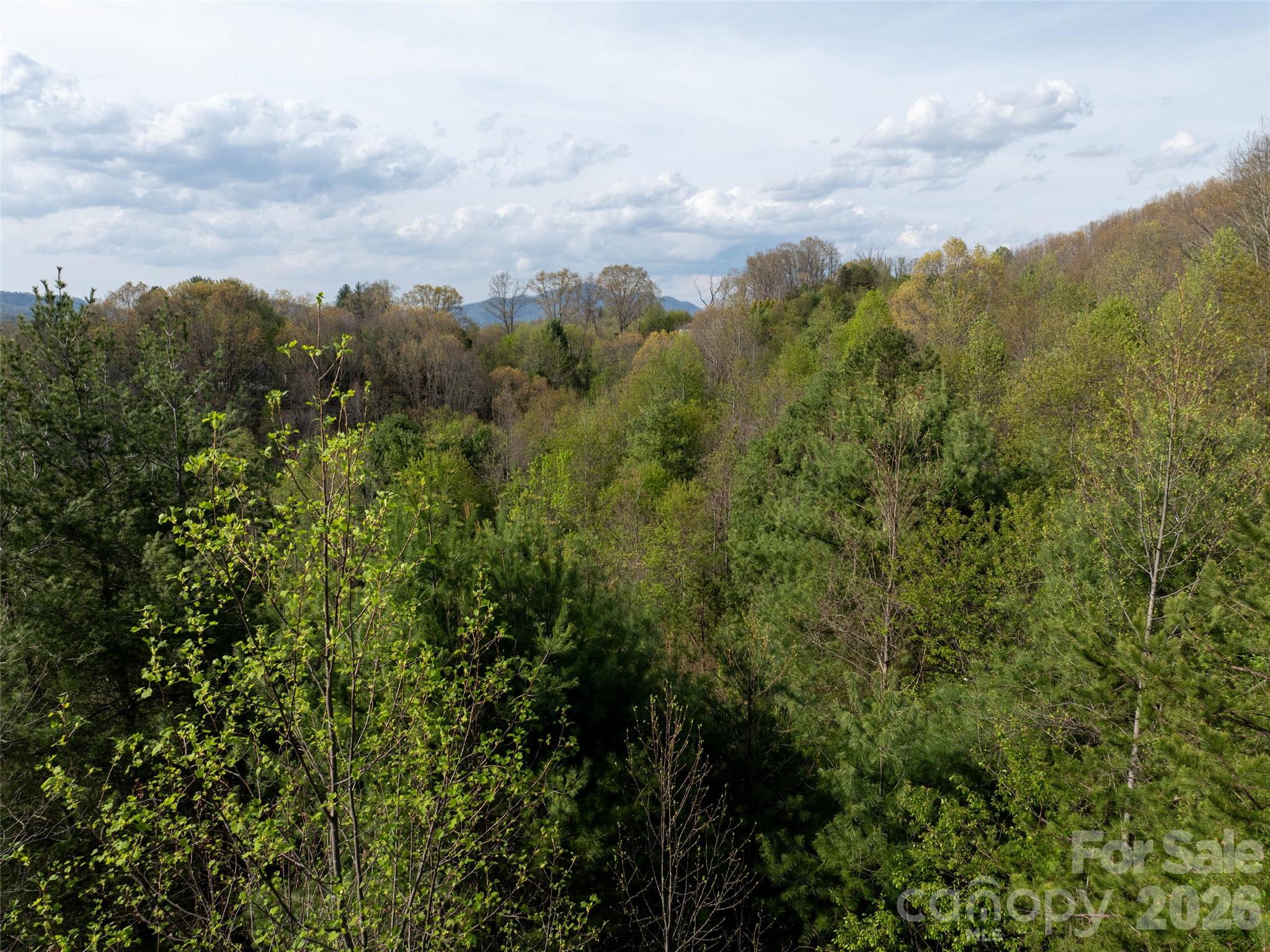 Lot 38 Sunnybrook Trail Clyde, NC 28721 - Photo 10 of 11 a view of a city and mountains