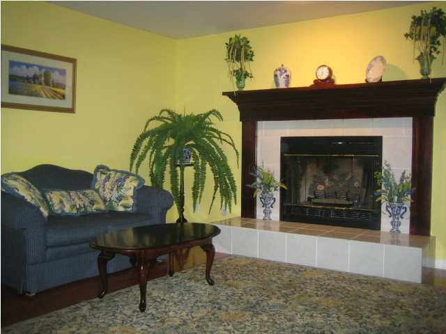 11302 Blair Road Apison, TN 37302 - Photo 3 of 12 Additional Photo