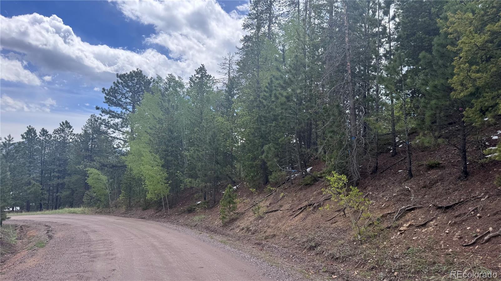 717 Crescent Lake Road Golden, CO 80403 - Photo 4 of 27