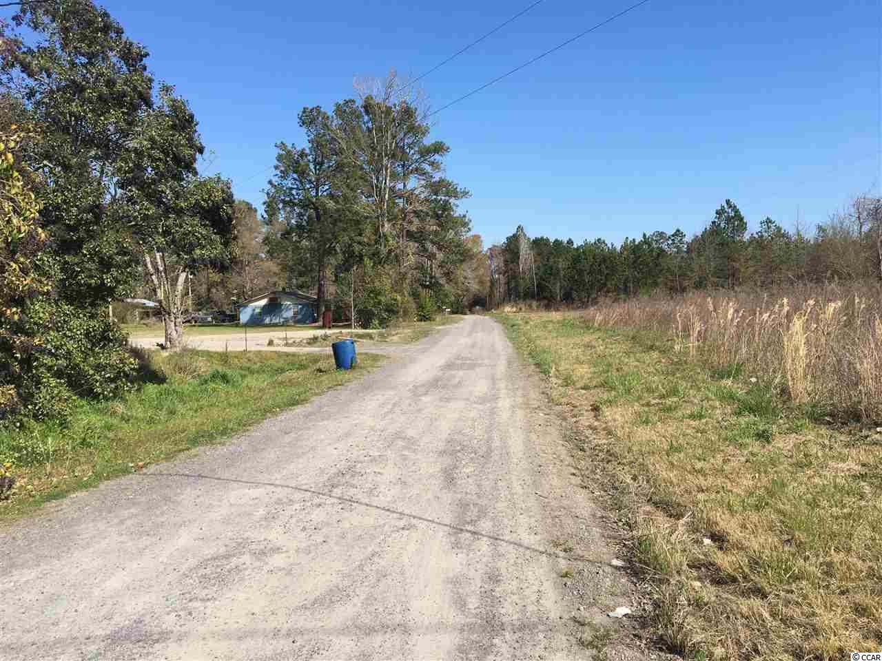 41 Highway 41 Hemingway, SC 29554 - Photo 4 of 5