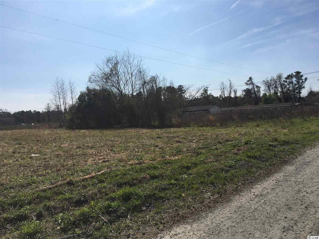41 Highway 41 Hemingway, SC 29554 - Photo 5 of 5