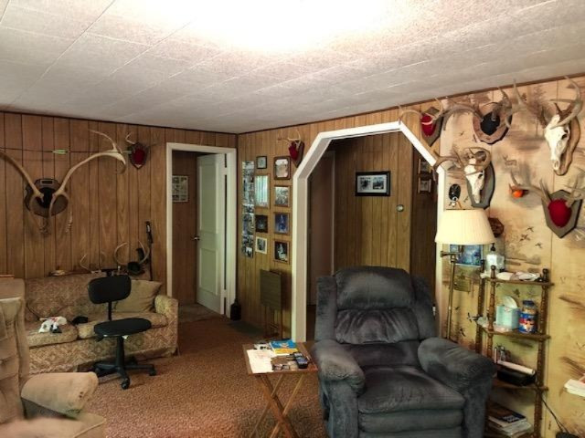 5911 South Frank Smith Road Chase, MI 49623 - Photo 9 of 21 IMG_8726