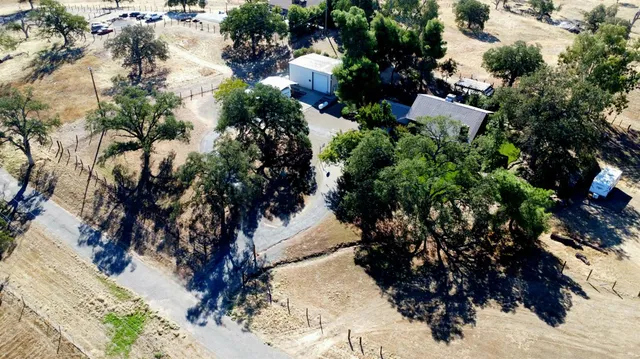 a view of a tree in a yard