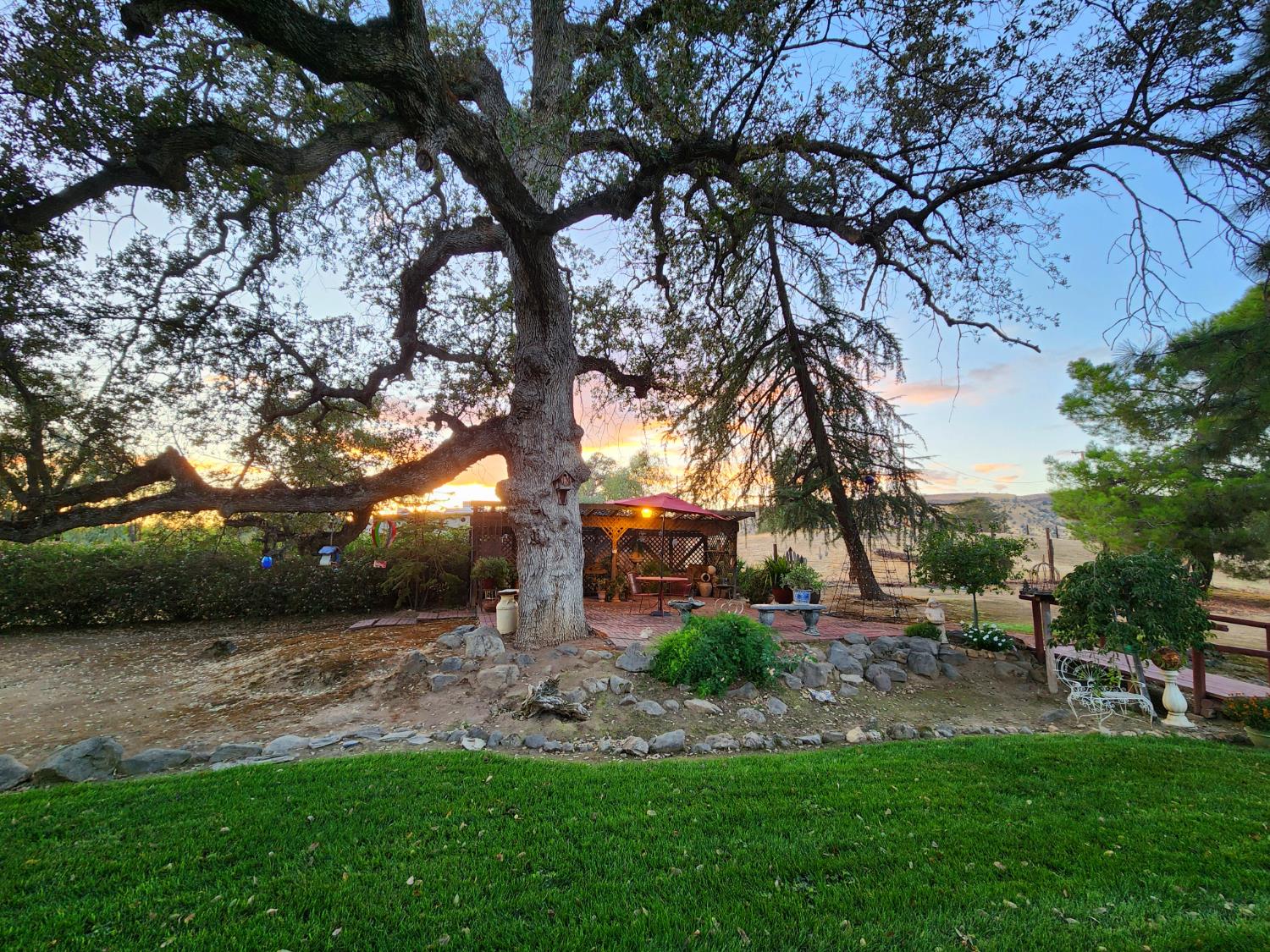 22266 Frontier Road Clovis, CA 93619 - Photo 54 of 61 a view of backyard with green space
