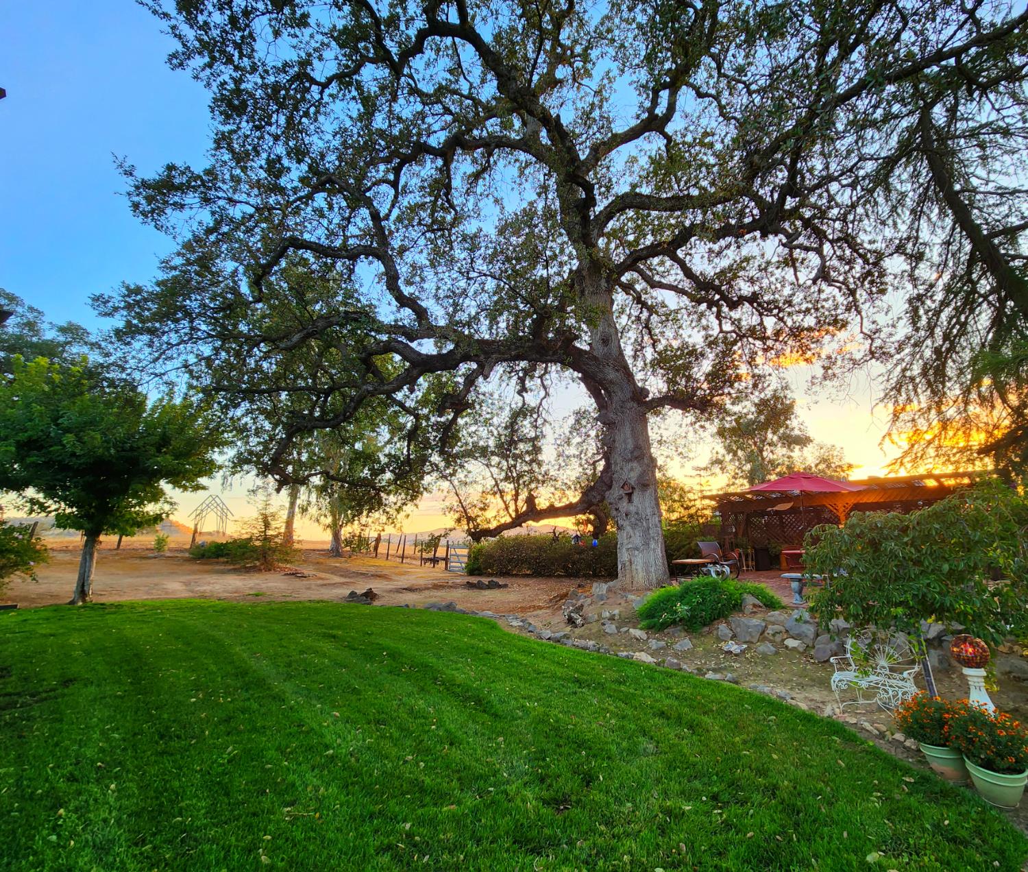 22266 Frontier Road Clovis, CA 93619 - Photo 55 of 61 a view of a garden