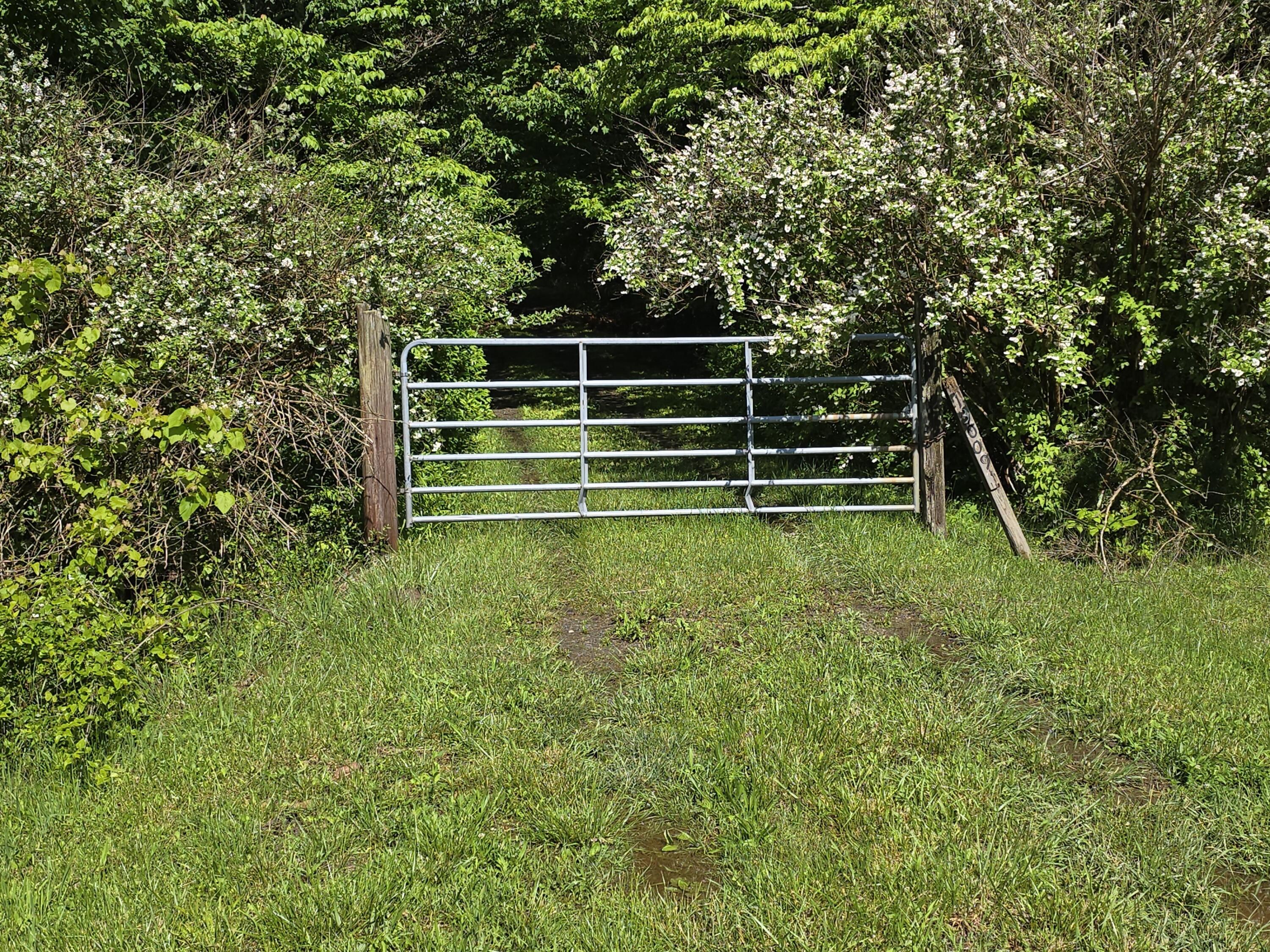 157 Highway Rising Fawn Ga 30738 Rising Fawn, GA 30738 - Photo 1 of 20 01 - Gated Access
