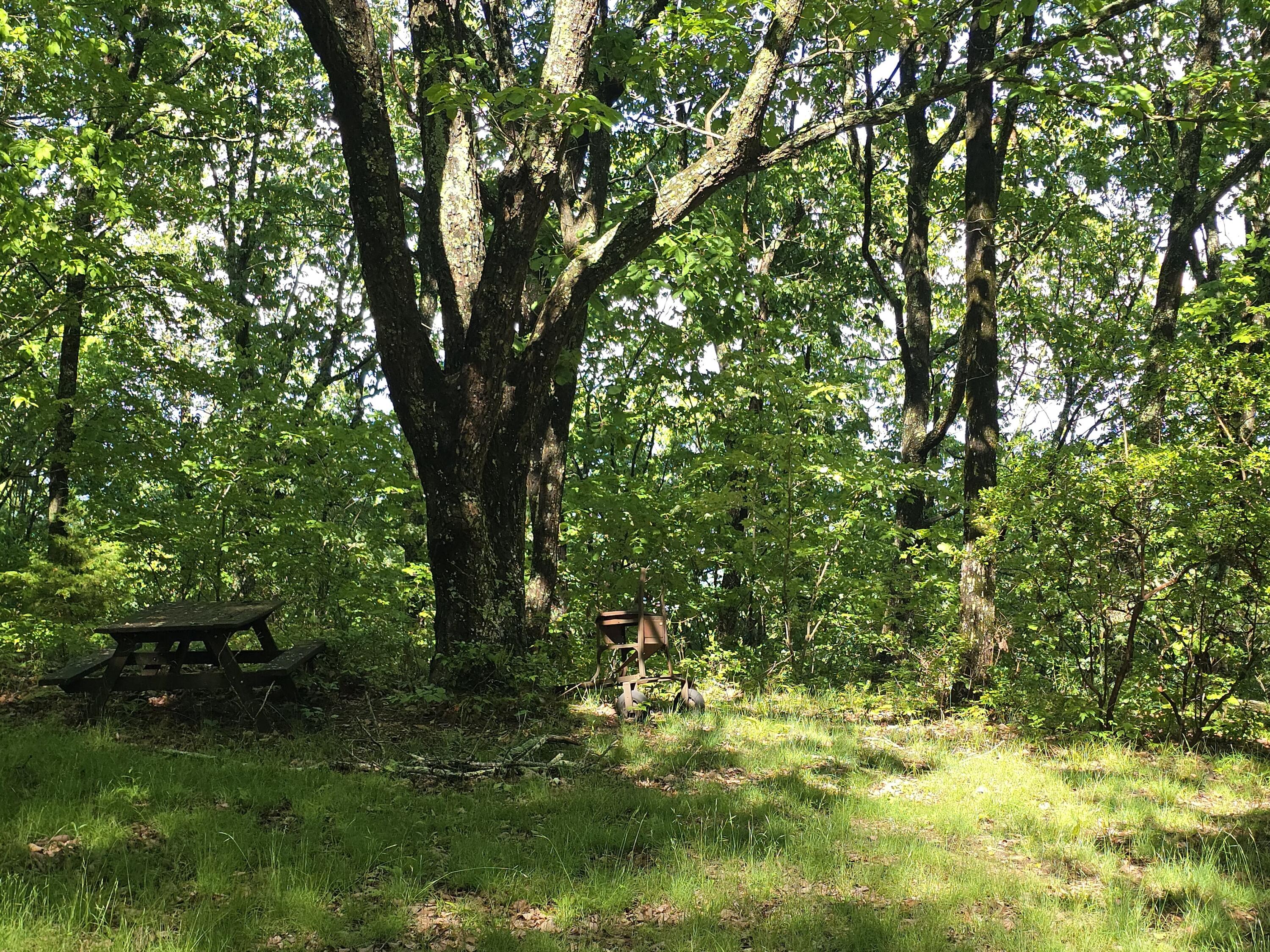 157 Highway Rising Fawn Ga 30738 Rising Fawn, GA 30738 - Photo 13 of 20 16 - Picnic at the Bluff
