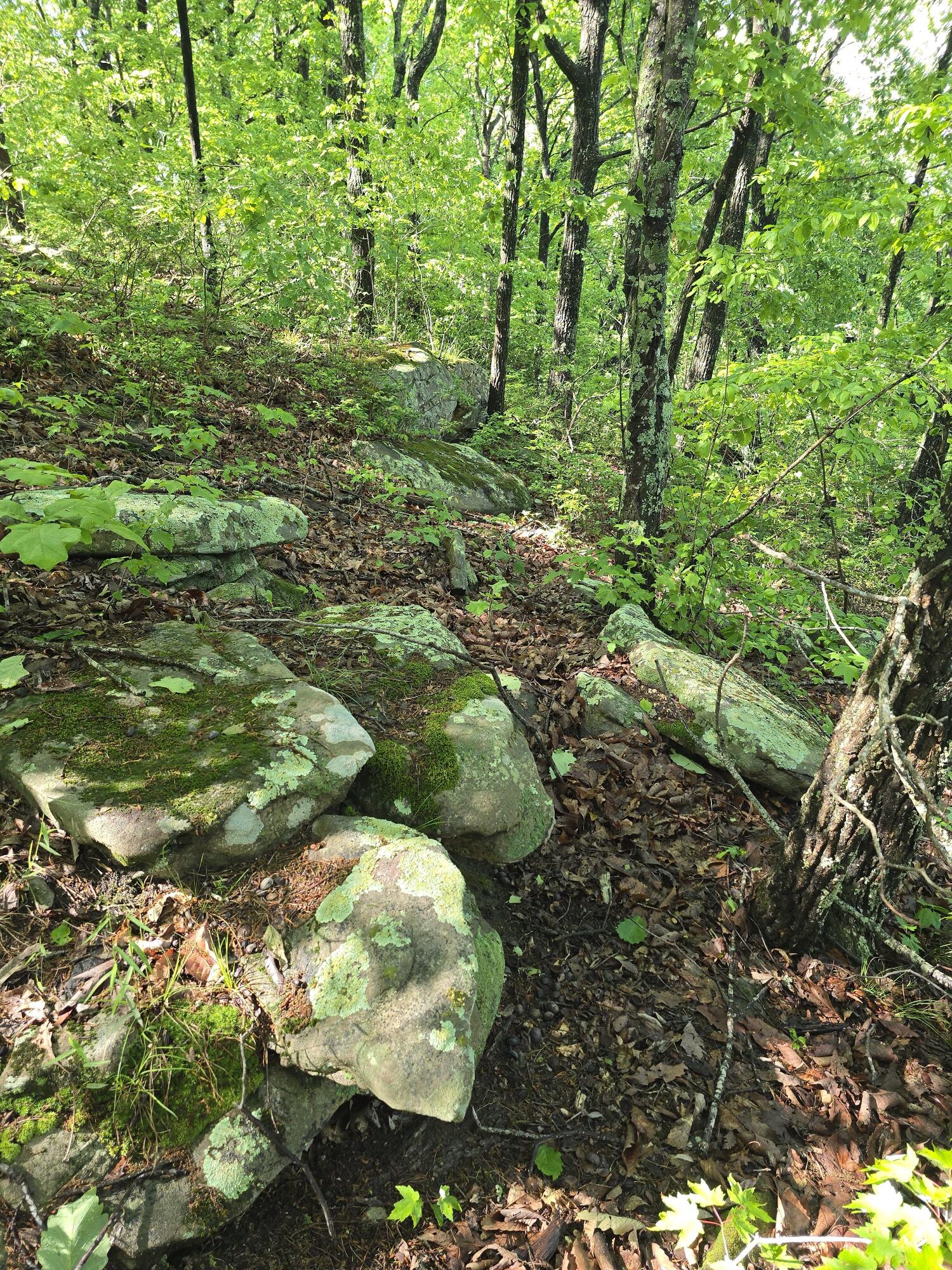 157 Highway Rising Fawn Ga 30738 Rising Fawn, GA 30738 - Photo 14 of 20 17 - Rock Outcropping at the Bluff