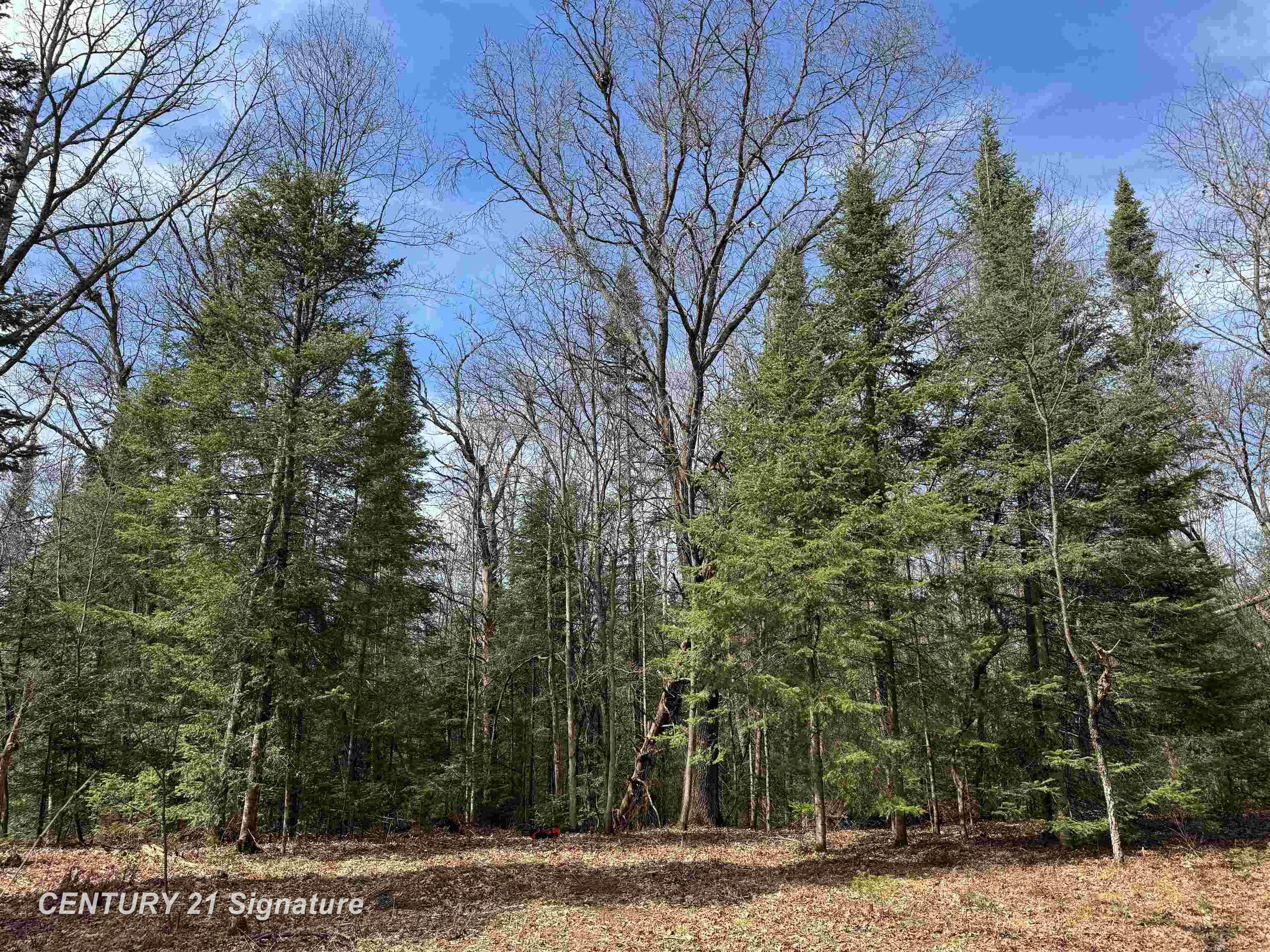 V/l Steckert Bridge Road Roscommon, MI 48653 - Photo 5 of 23 Gallery Image 5
