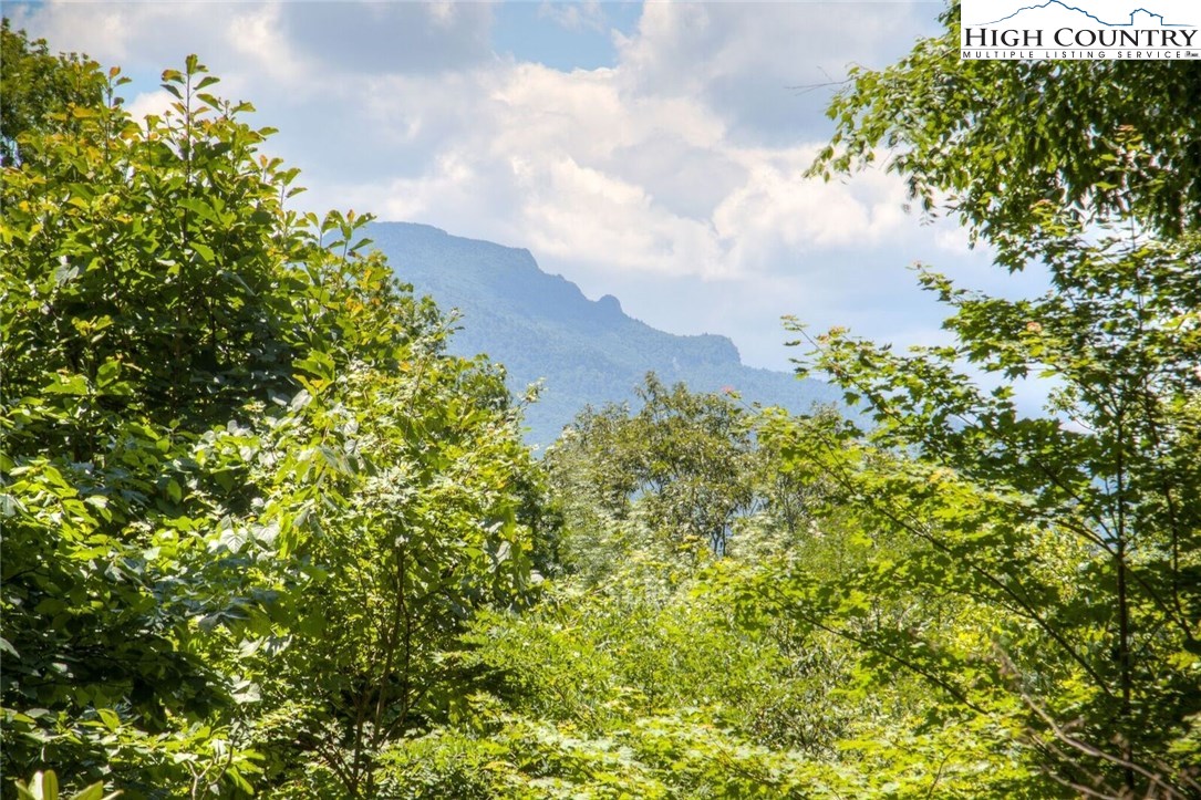 172 Shagbark Lane Boone, NC 28607 - Photo 1 of 3 Gallery Image 1