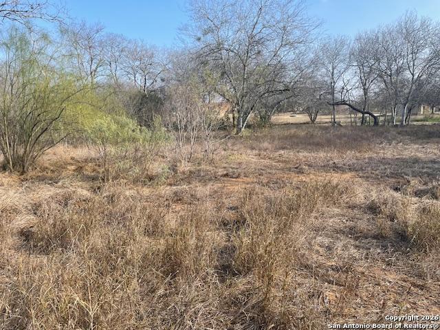 606 Cedar Jourdanton, TX 78026 - Photo 1 of 8