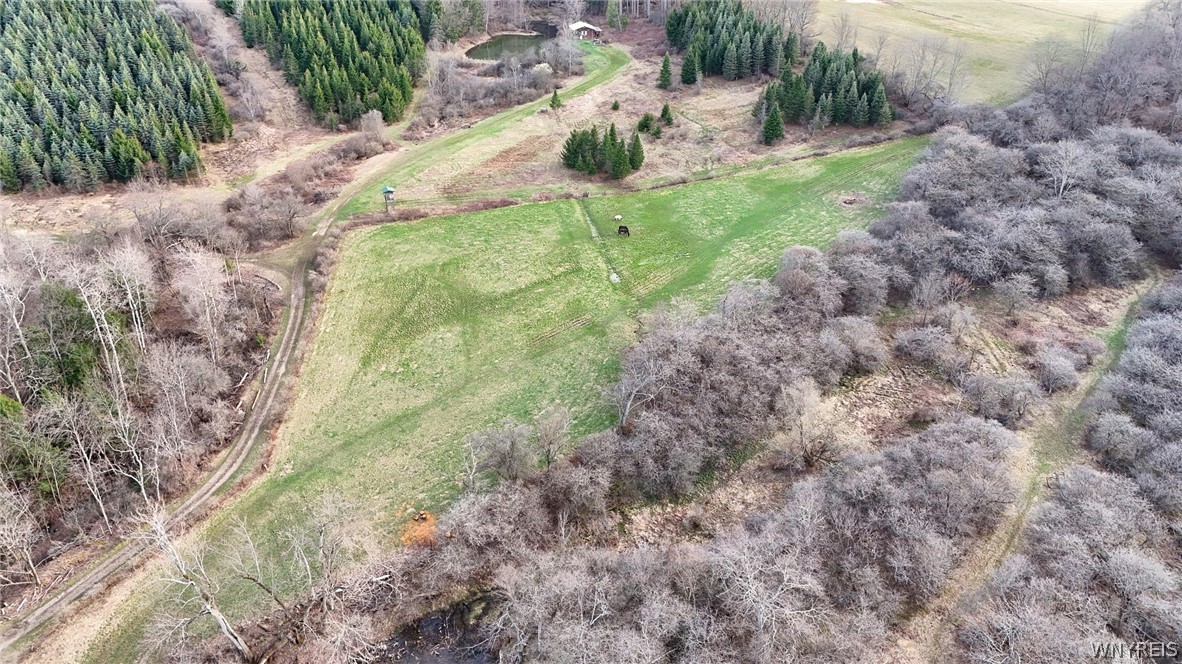 7509 Higgins Crk Road Hume, NY 14735 - Photo 14 of 44