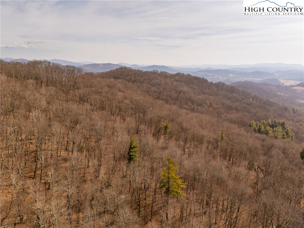 1395 Grady Winkler Road Boone, NC 28607 - Photo 28 of 50 Gallery Image 28