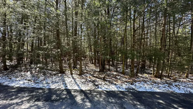 $53,000 | Lot 1114 Sunset Drive, Pocono Summit, PA 18346