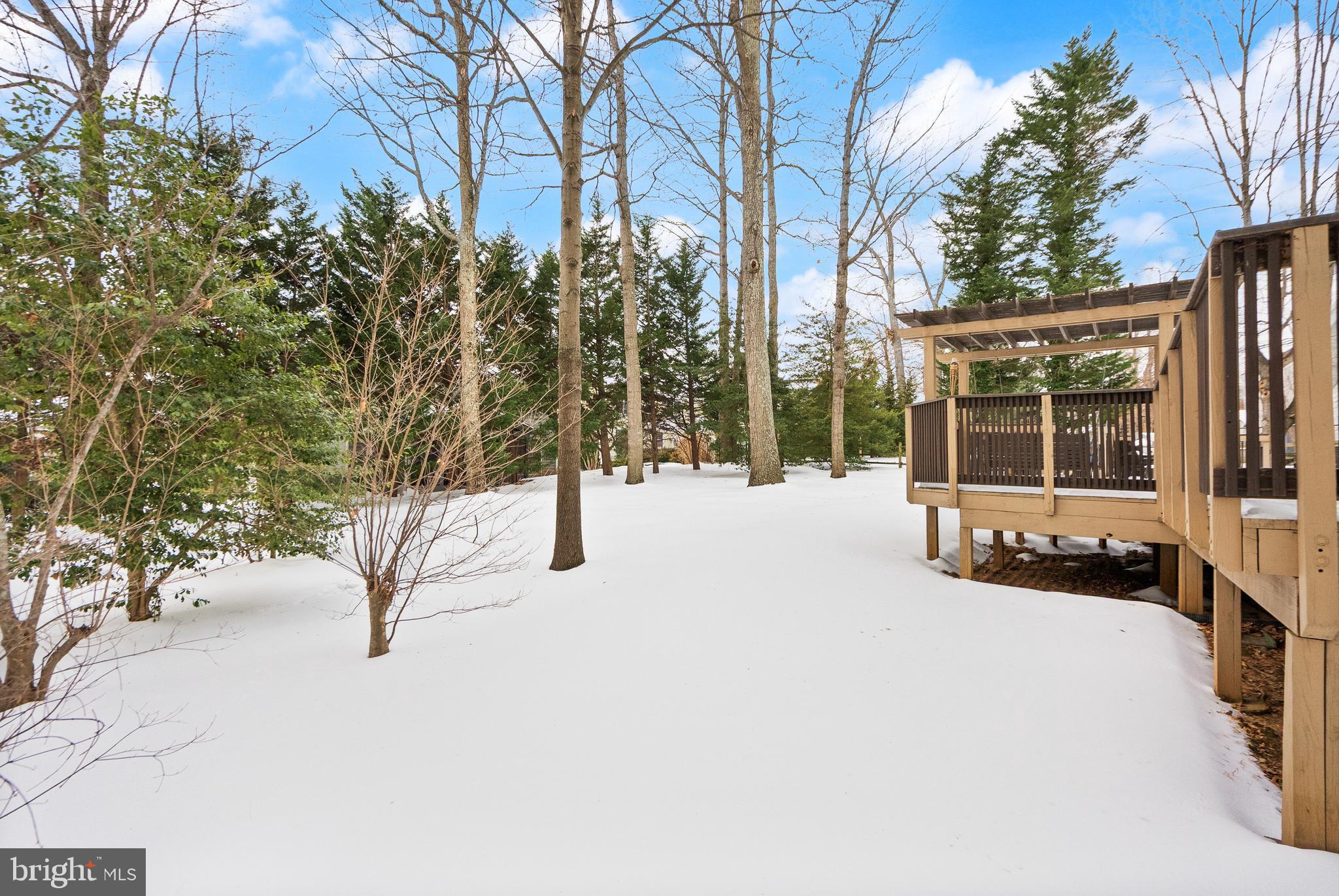 1134 Round Pebble Lane Reston, VA 20194 - Photo 63 of 68