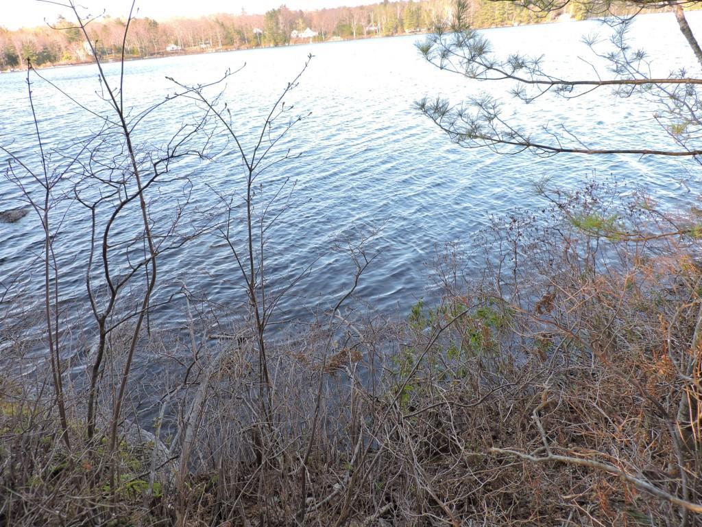 Lot #5 Short Point Way Orland, ME 04472 - Photo 3 of 11 Photo