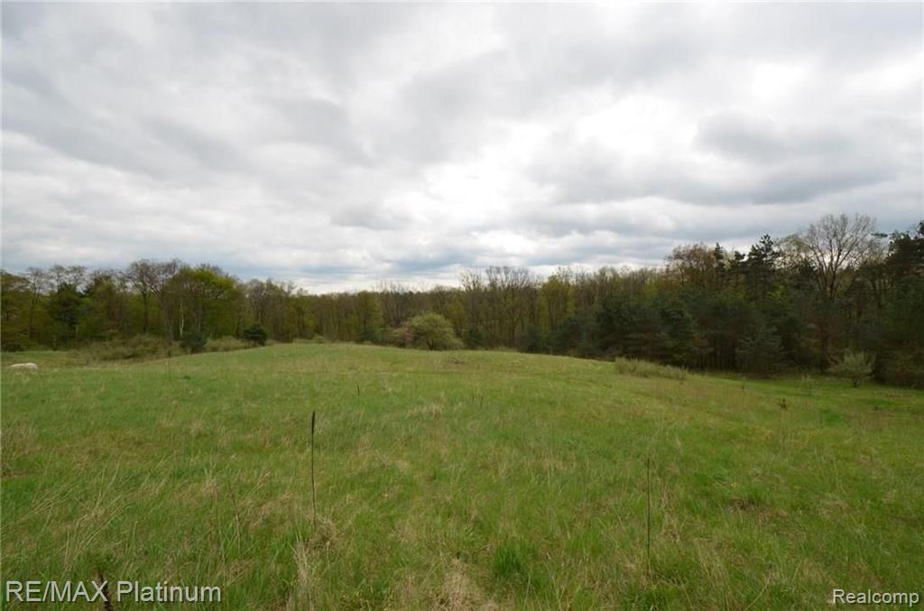 Parcel A Silverbell Road Rochester, MI 48306 - Photo 1 of 31