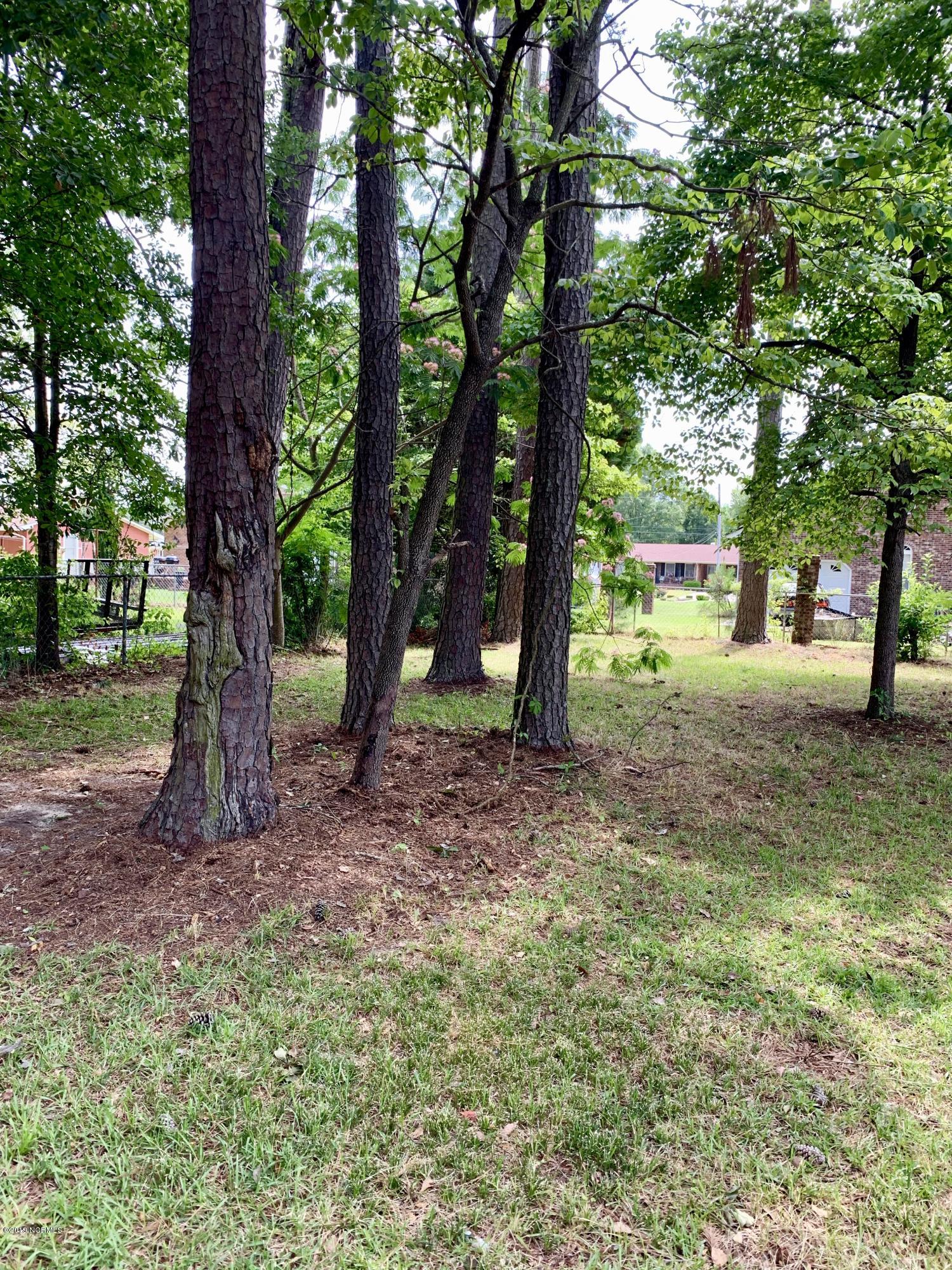 809 Eagle Road Kinston, NC 28501 - Photo 10 of 49 fullsizeoutput_1ae0