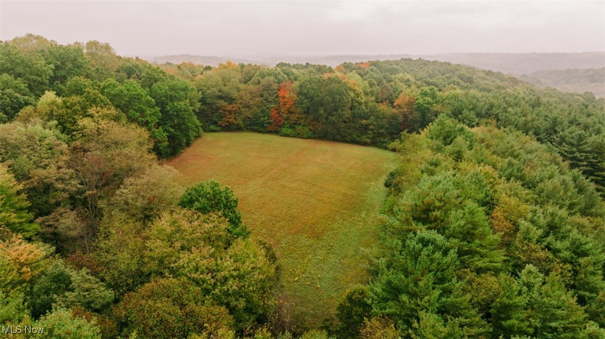 2354 Ivory Road Northwest Dellroy, OH 44620 - Photo 17 of 41 Birds eye view of property