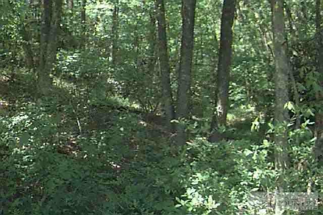 0 Clear View Ridge Crumpler, NC 28617 - Photo 1 of 1 Gallery Image 1