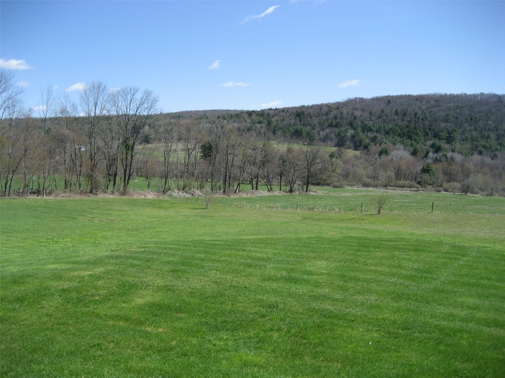 5 Rowe Road Harpursville, NY 13787 - Photo 3 of 13 Gallery Image 3