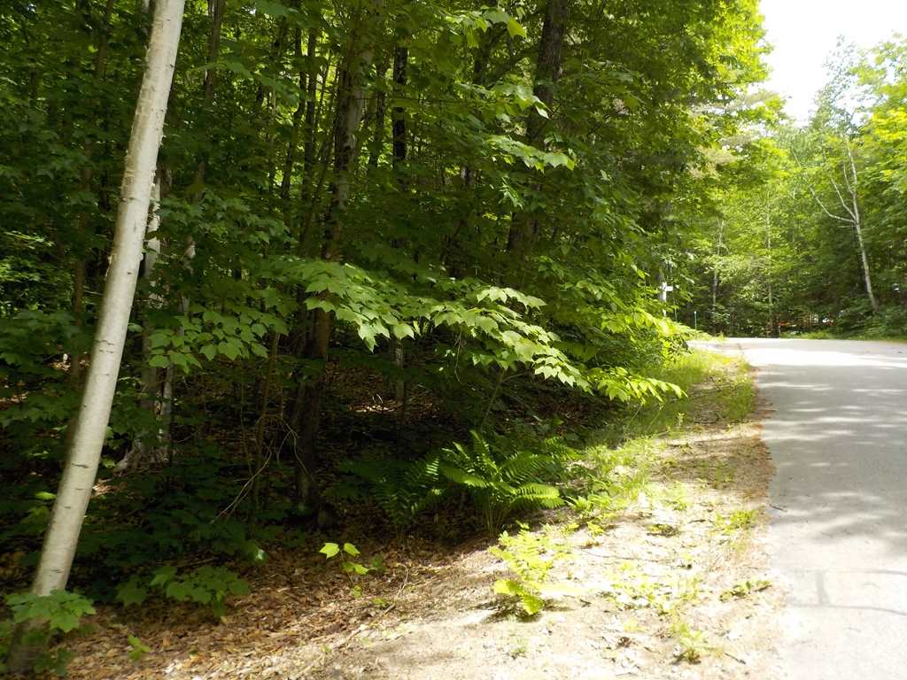Heritage Road, Unit 4 Wolfeboro, NH 03894 - Photo 5 of 18