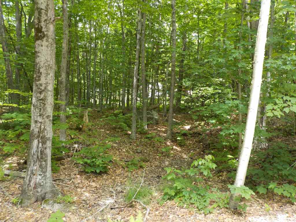 Heritage Road, Unit 4 Wolfeboro, NH 03894 - Photo 6 of 18