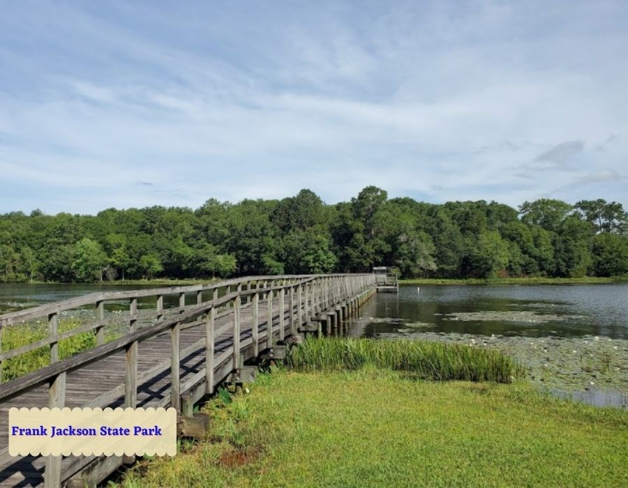 0 Old Gilmore School House Road Summers, AL 72769 - Photo 10 of 13