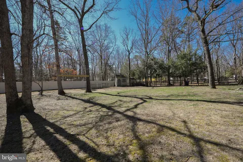a view of a yard with a trees