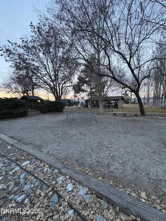 a view of a yard with plants and trees