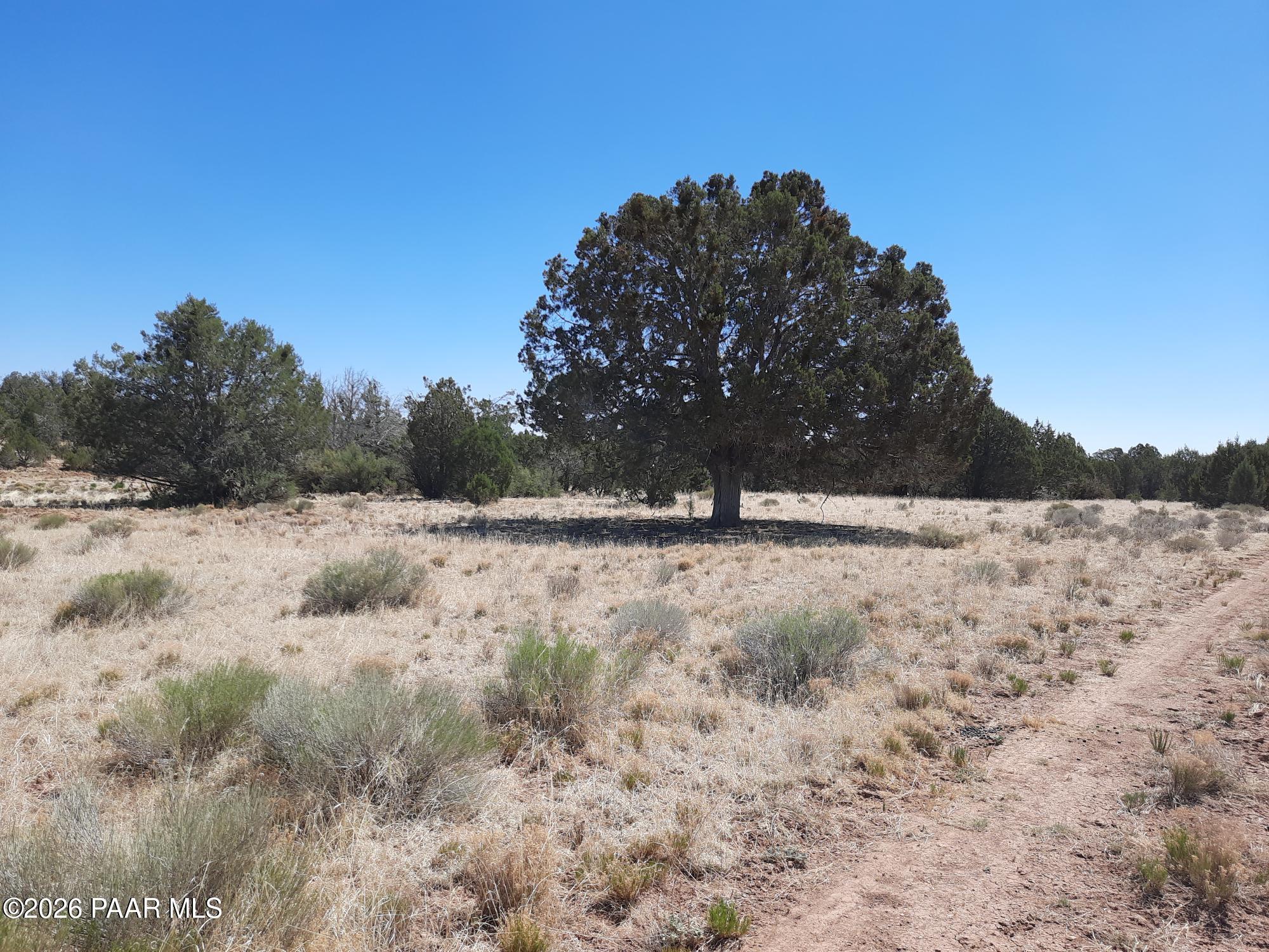 3 J Off Duffy Road Seligman, AZ 86337 - Photo 5 of 12 20220612_100724