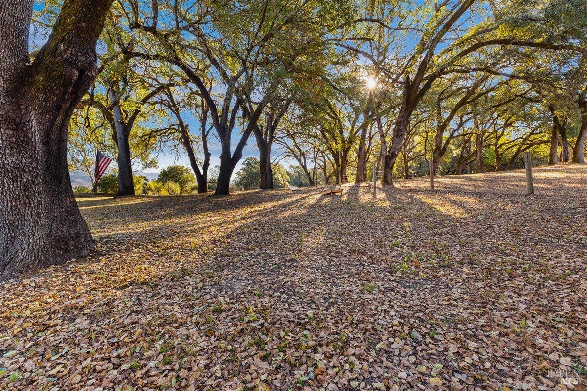 350 Canyon Road Geyserville, CA 95441 - Photo 31 of 39