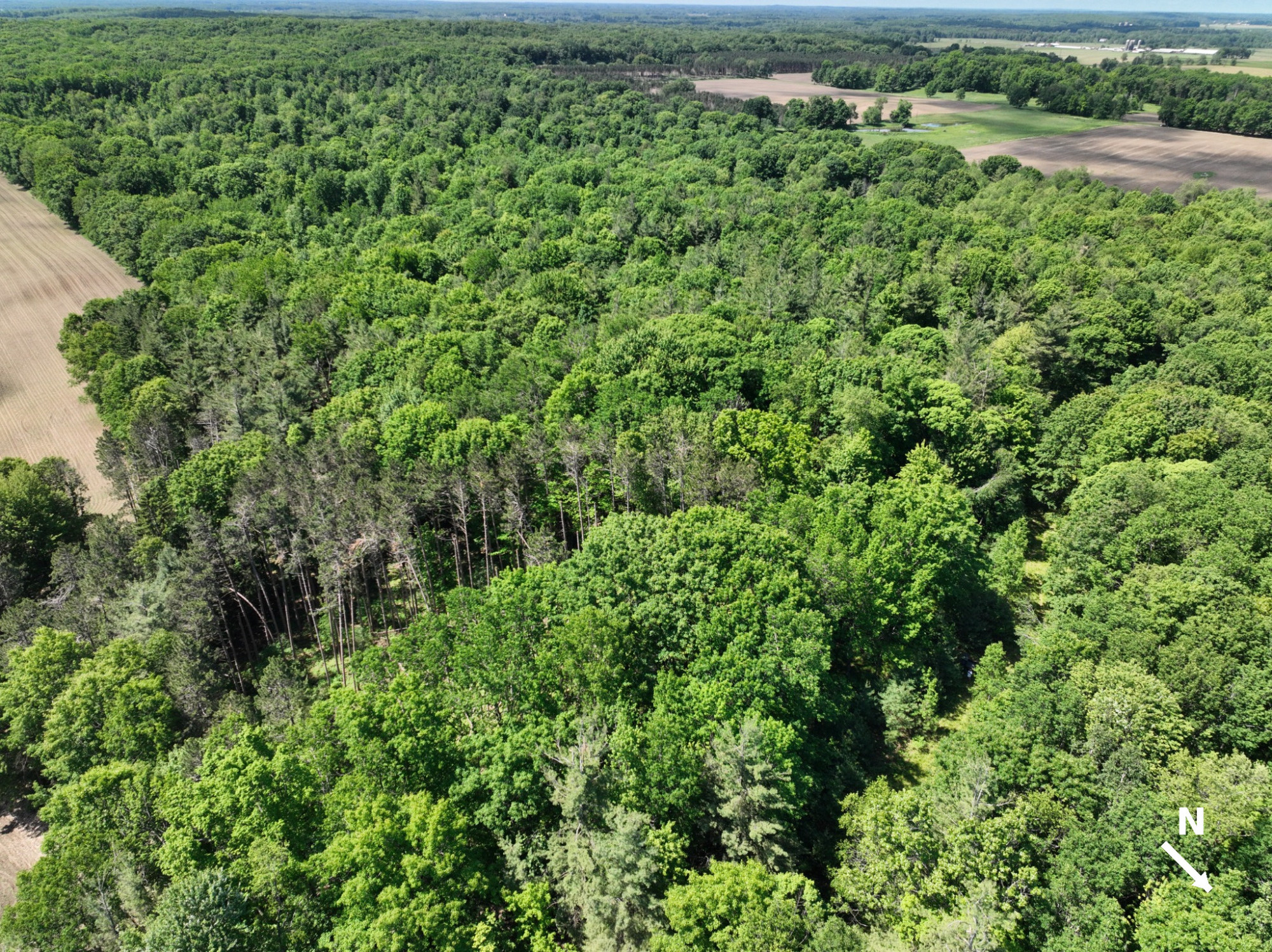 3685 Cypress Road Blanchard, MI 49310 - Photo 18 of 32 North_to_BottomRight_3