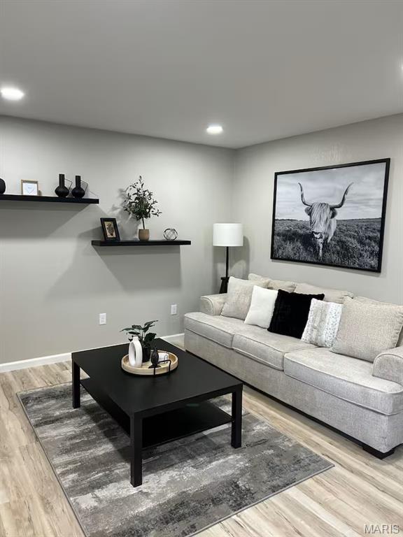 207 West Home Avenue St. James, MO 65559 - Photo 2 of 17