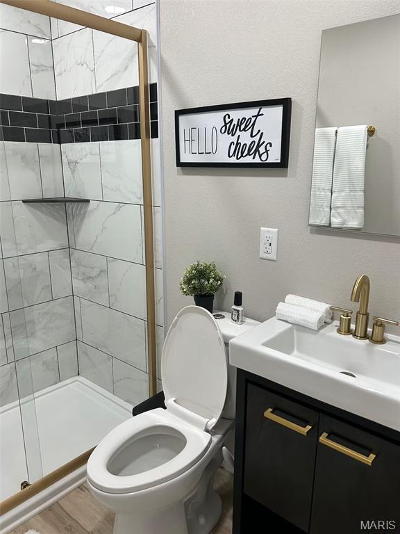 207 West Home Avenue St. James, MO 65559 - Photo 9 of 17