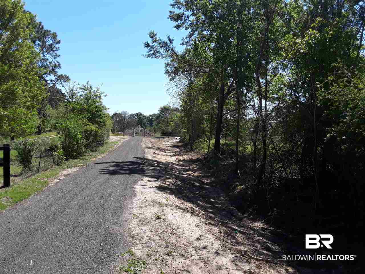 0 County Road 68 Extension Robertsdale, AL 36567 - Photo 3 of 9