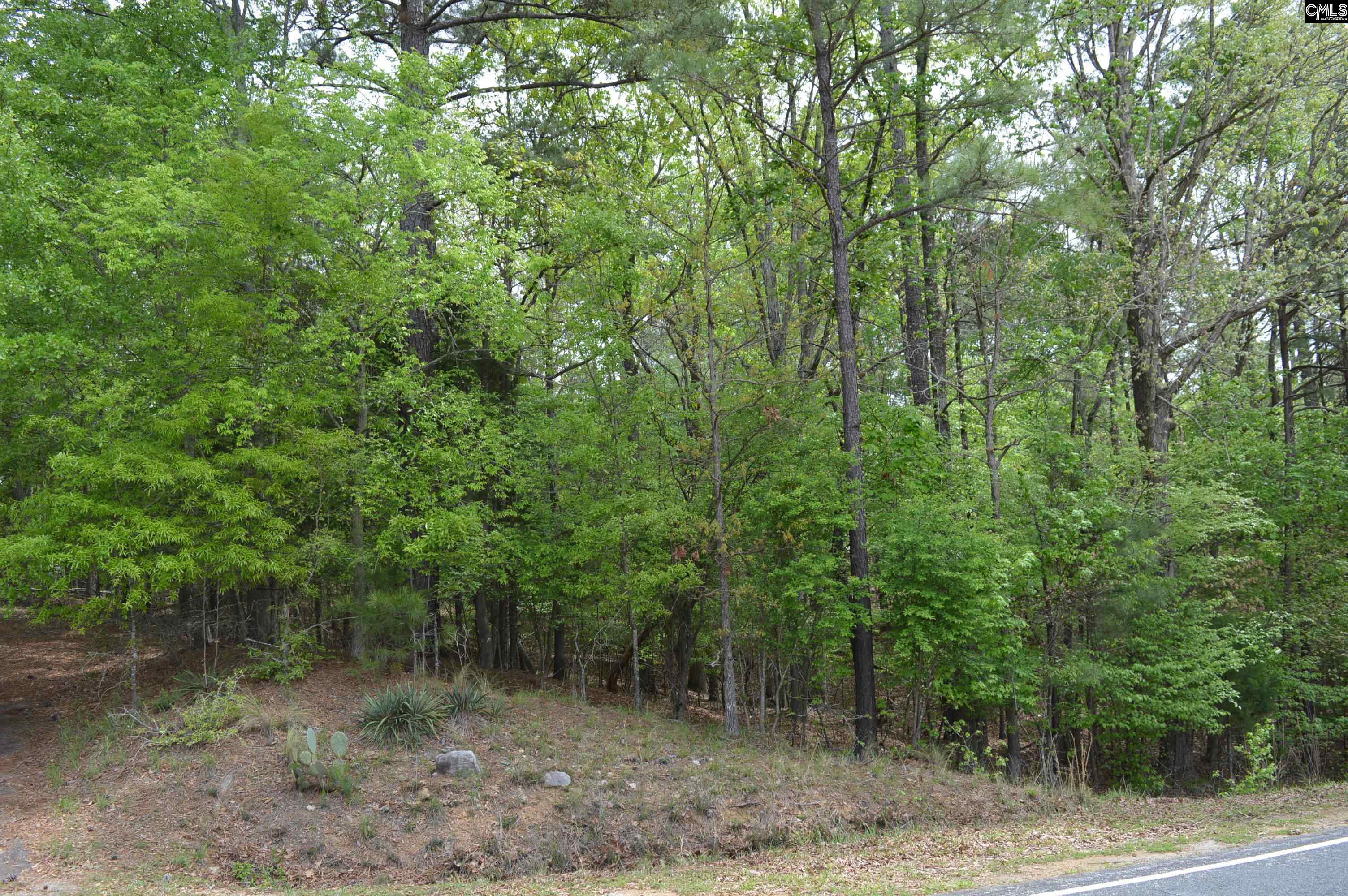 978 Rolling Hills Road Ridgeway, SC 29130 - Photo 5 of 9
