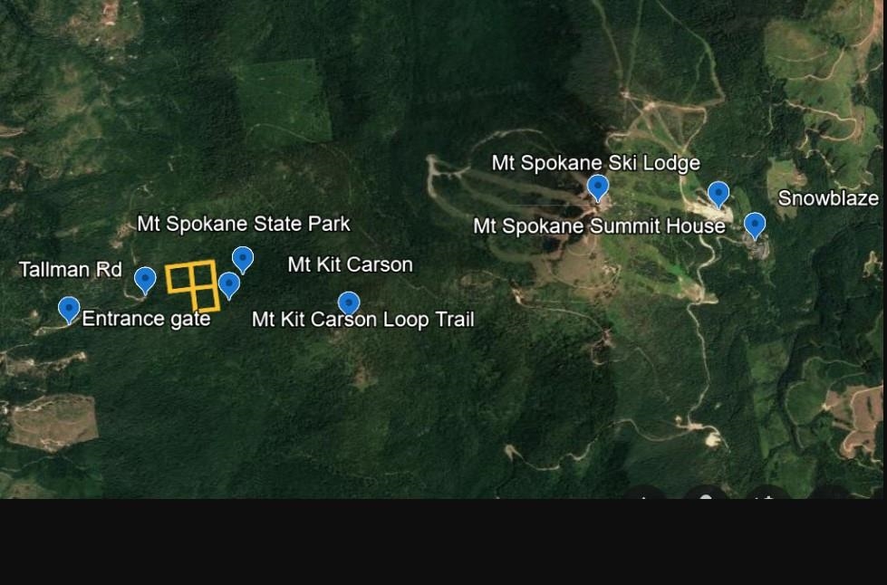 176-xx East Tallman Road, Unit 3 Chattaroy, WA 99003 - Photo 6 of 6