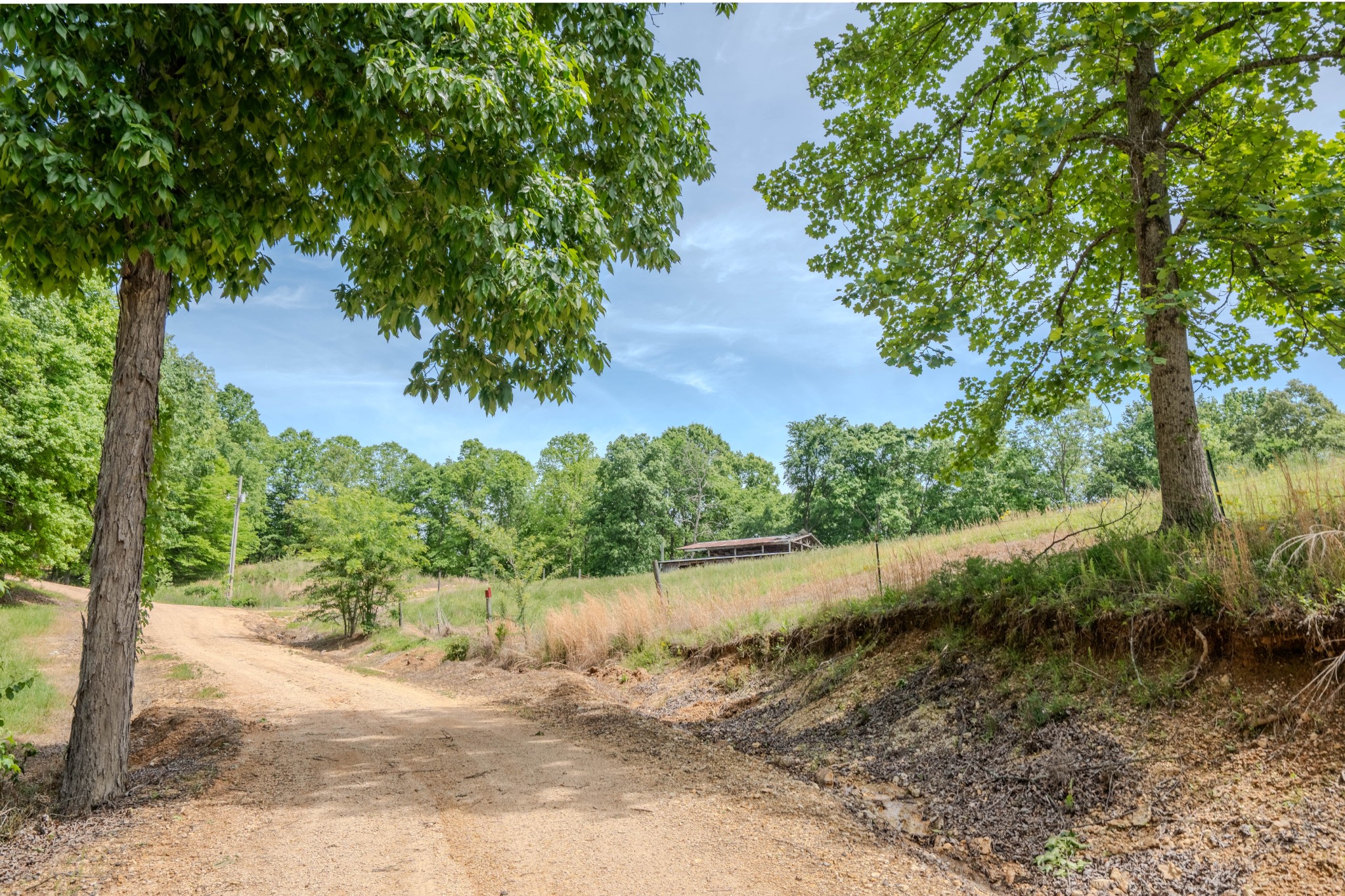 1211 Bundrant Branch Road Waynesboro, TN 38485 - Photo 45 of 69