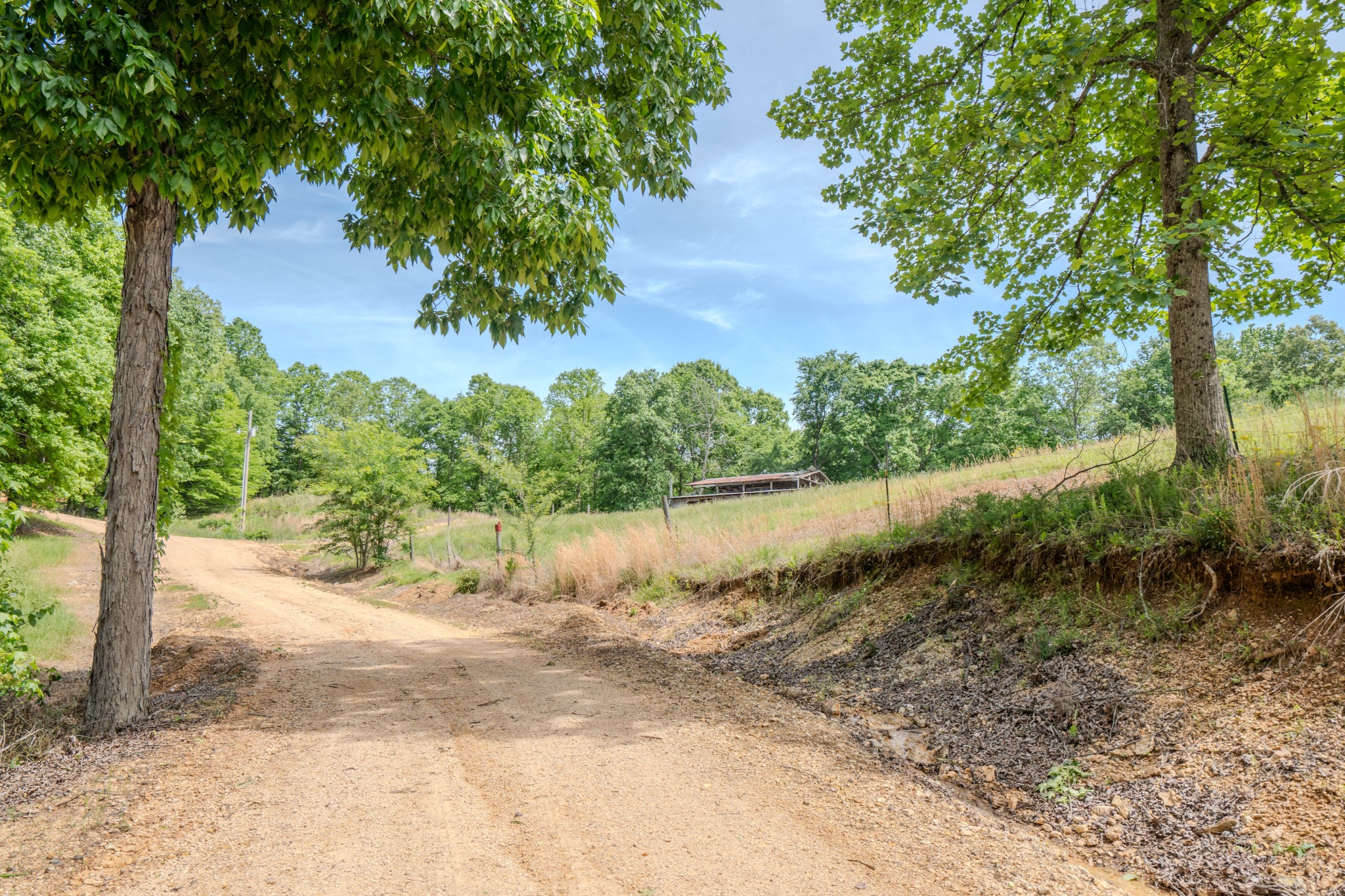 1211 Bundrant Branch Road Waynesboro, TN 38485 - Photo 46 of 69