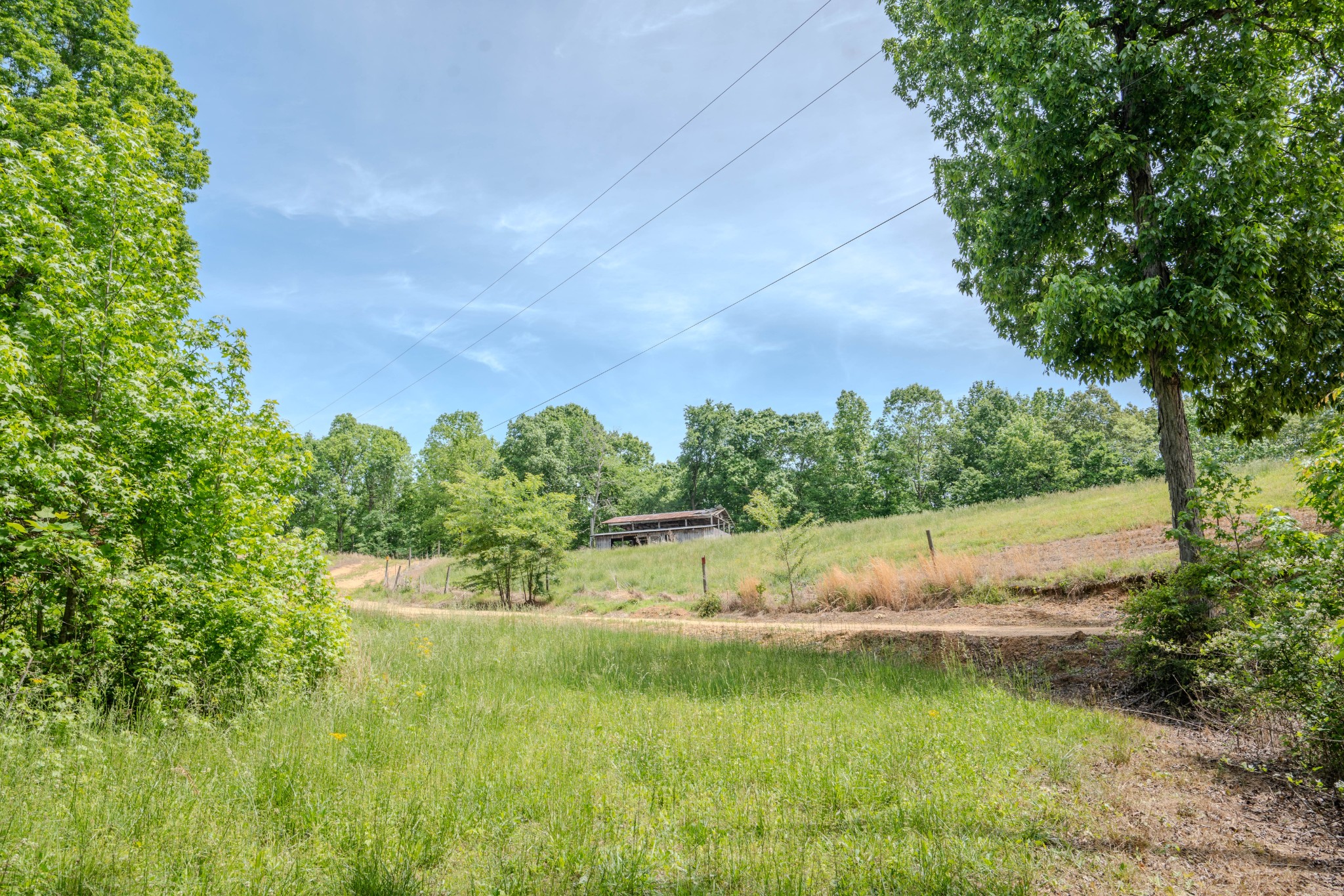 1211 Bundrant Branch Road Waynesboro, TN 38485 - Photo 47 of 69