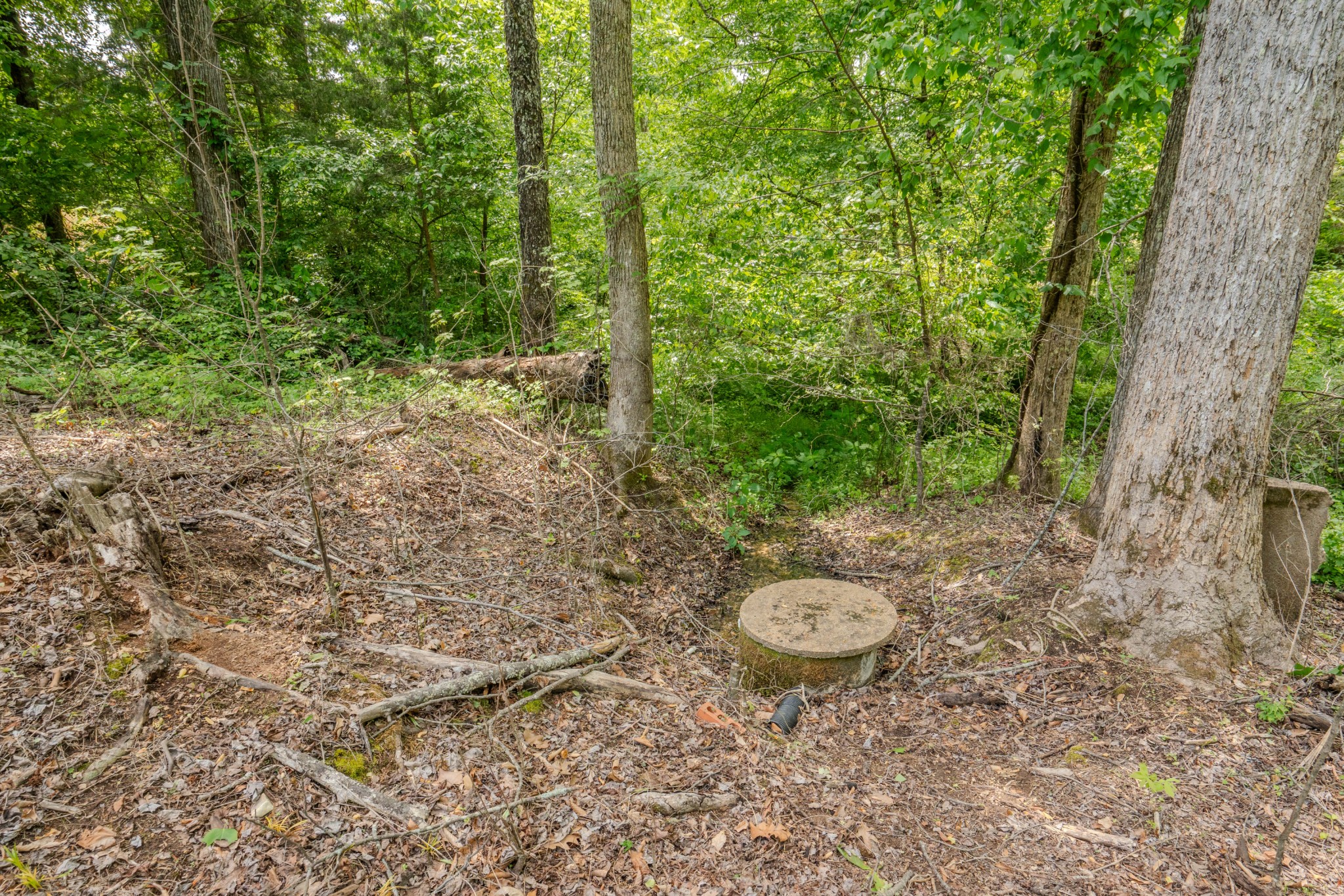 1211 Bundrant Branch Road Waynesboro, TN 38485 - Photo 48 of 69