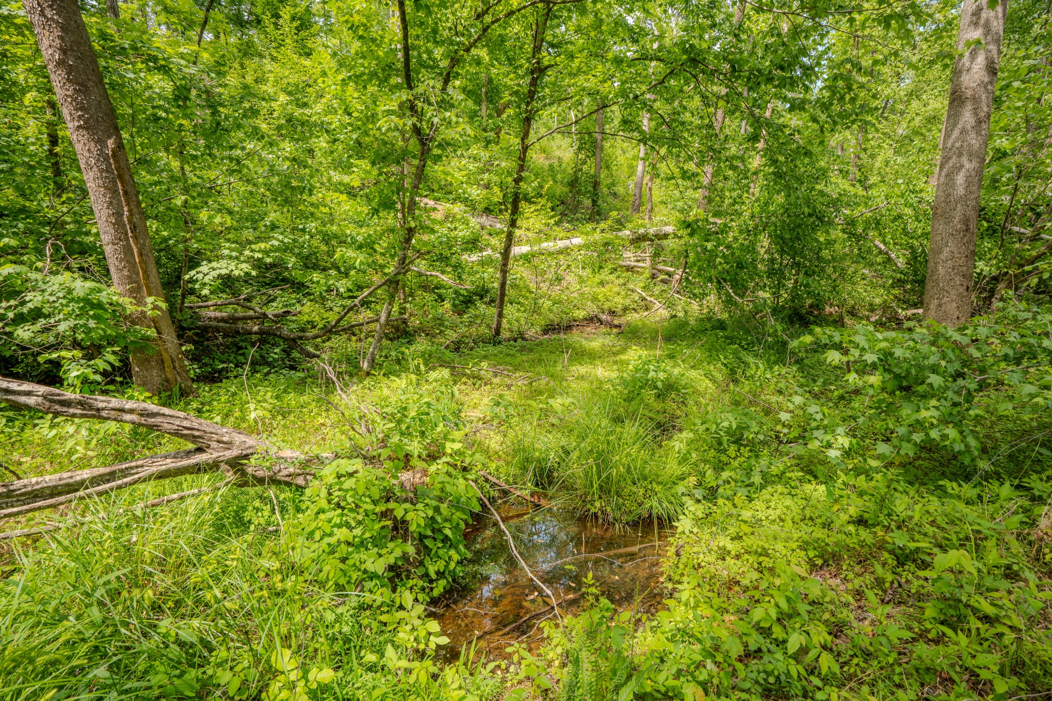 1211 Bundrant Branch Road Waynesboro, TN 38485 - Photo 49 of 69