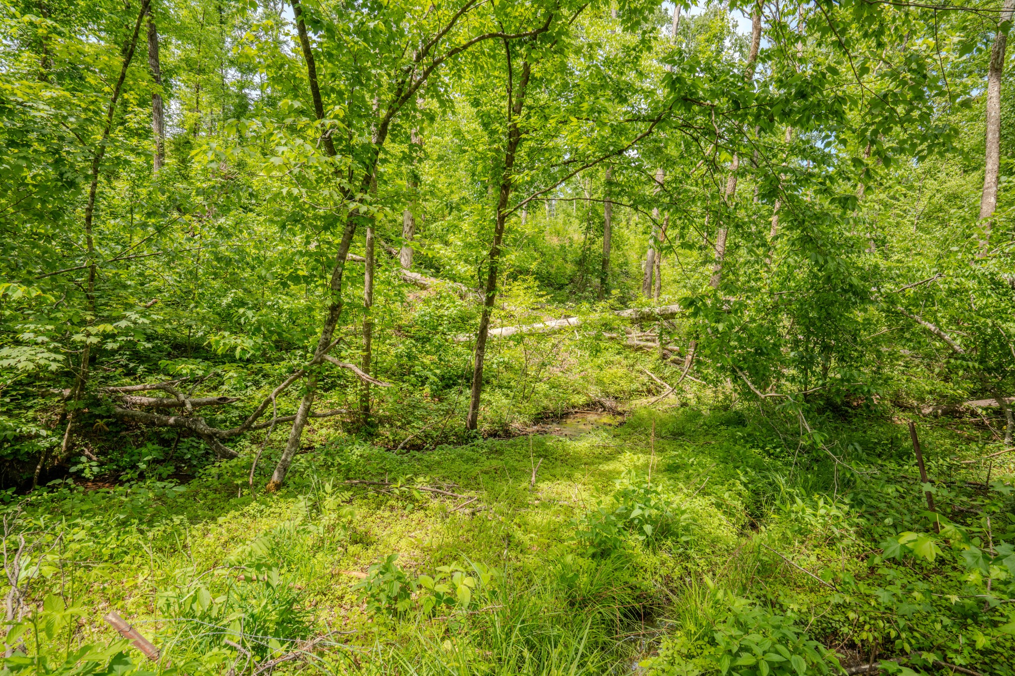 1211 Bundrant Branch Road Waynesboro, TN 38485 - Photo 50 of 69