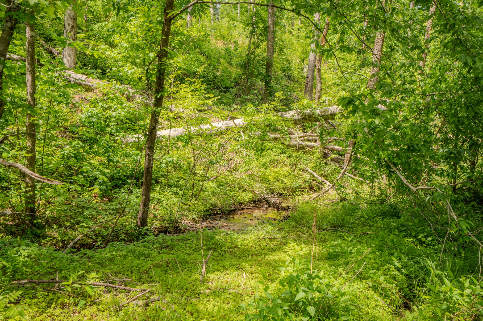 1211 Bundrant Branch Road Waynesboro, TN 38485 - Photo 51 of 69