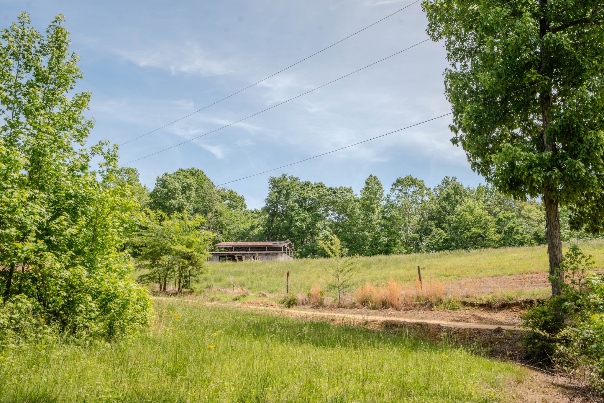 1211 Bundrant Branch Road Waynesboro, TN 38485 - Photo 52 of 69