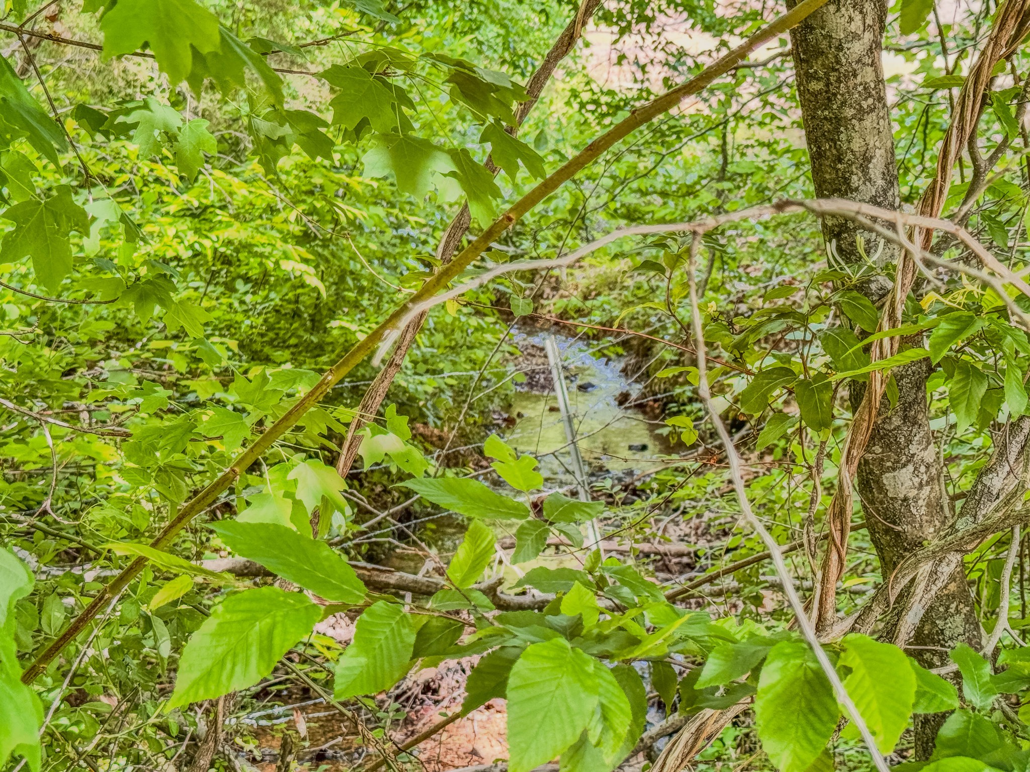 1211 Bundrant Branch Road Waynesboro, TN 38485 - Photo 53 of 69