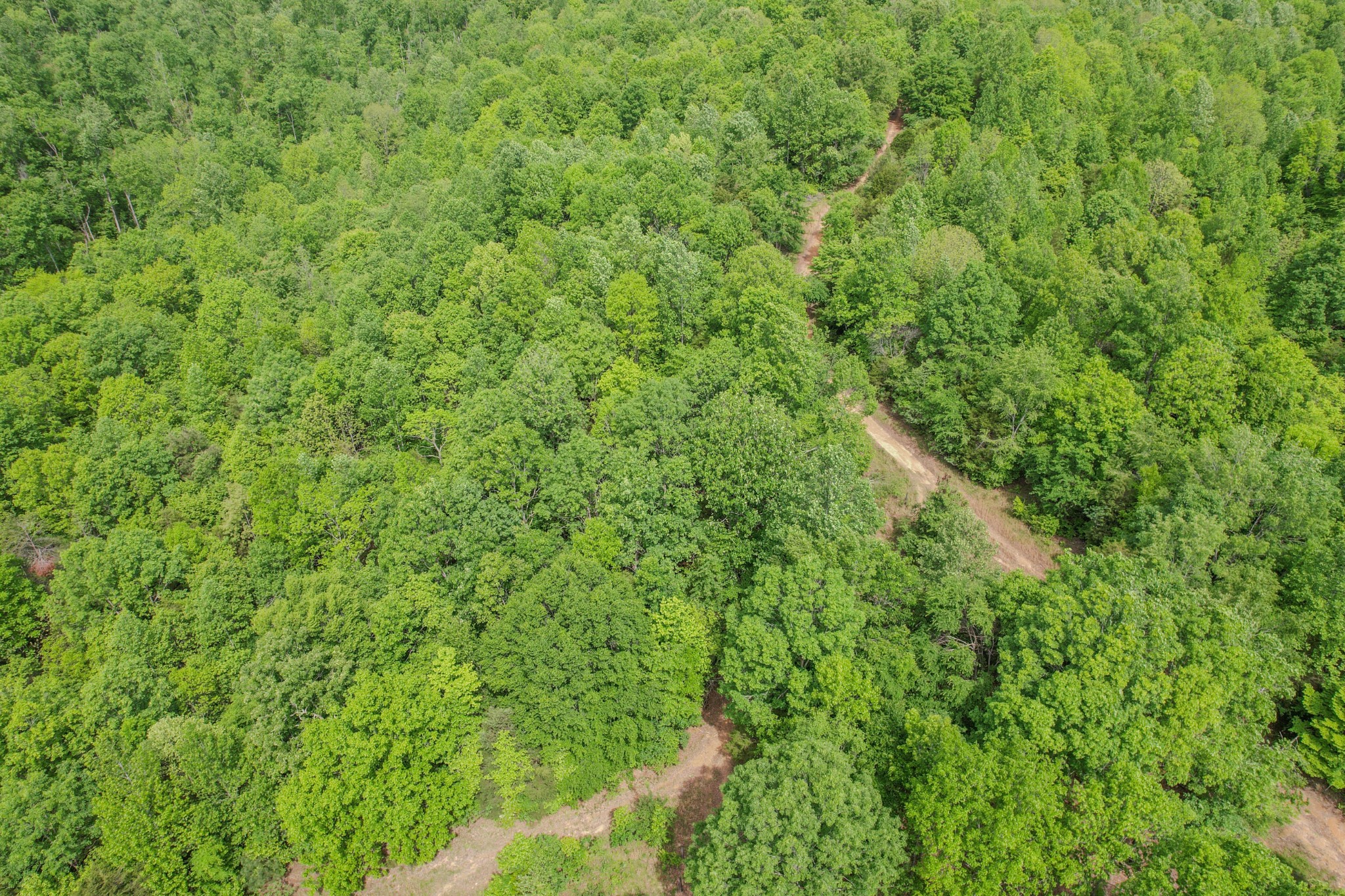 1211 Bundrant Branch Road Waynesboro, TN 38485 - Photo 64 of 69